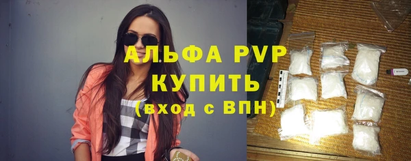 apvp Каменногорск