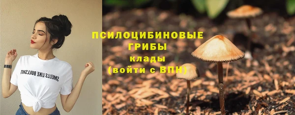 apvp Каменногорск