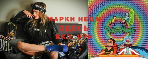 гидропоника Каменка