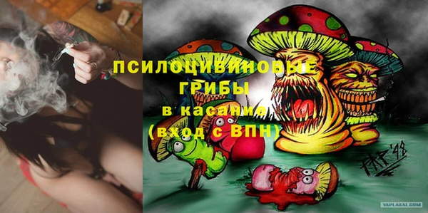 apvp Каменногорск
