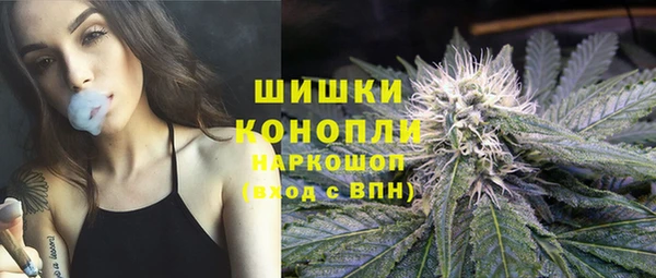 гидропоника Каменка