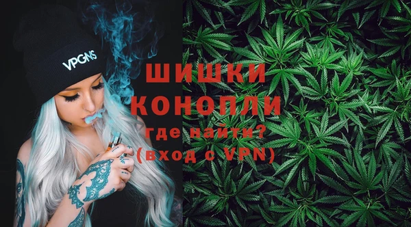 гидропоника Каменка
