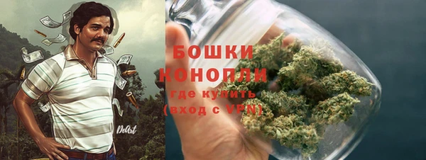 apvp Каменногорск