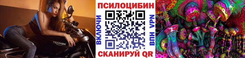 Купить закладки  Тбилисская  Галлюциногенные грибы Magic Shrooms 